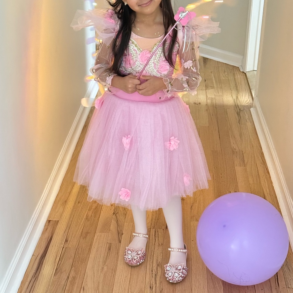 Pink Fairy Princess Costume